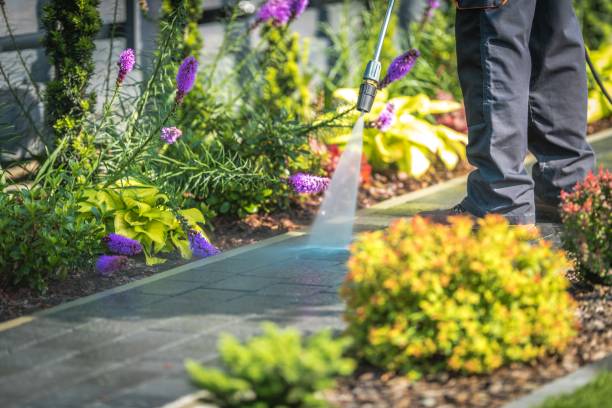 Best Fence Cleaning  in Campbell, FL